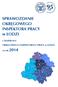 SPRAWOZDANIE OKRĘGOWEGO INSPEKTORA PRACY w ŁODZI. z działalności OKRĘGOWEGO INSPEKTORATU PRACY w ŁODZI