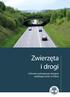 Zwierzęta i drogi. Ochrona zwierząt przy drogach szybkiego ruchu w Polsce