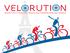 Wielka francuska rewolucja rowerowa. 1996-2011 : 15 lat polityki prorowerowej