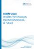 REMAP 2030 PERSPEKTYWY ROZWOJU ENERGII ODNAWIALNEJ W POLSCE