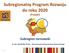 Subregionalny Program Rozwoju do roku 2020 (Projekt)