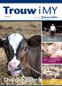 Choroby cieląt 4(40)/2015. Zdrowe krowy w dolinie Huczwy. Zalety i wady karmienia świń paszą płynną. Temperatura, wilgotność i wentylacja w kurniku