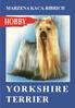 Marzena kaca-bibrich. yorkshire terrier