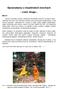 Opowiadania o shaolińskich mnichach - część druga