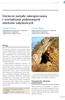 Górnicze metody zabezpieczania i rewitalizacji podziemnych obiektów zabytkowych