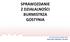 SPRAWOZDANIE Z DZIAŁALNOŚCI BURMISTRZA GOSTYNIA