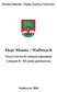 Użyte w zeszycie ćwiczeń symbole Miasta - za zgodą Urzędu Miasta Wałbrzycha. Korekta językowa: Jolanta Bilkiewicz
