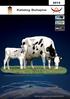 Katalog Buhajów. German Genetics International GmbH. Córka buhaja LASSO w 9-tej laktacji, aktualnie 155 000 litrów mleka w wydajności yciowej.