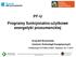 PF-U Programy funkcjonalno-użytkowe energetyki prosumenckiej