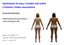 Upodobania do masy i kształtu ciała kobiet u Polaków i Indian amazońskich