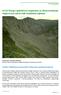 8120 Piargi i gołoborza wapienne ze zbiorowiskami Papaverion tatrici lub Arabidion alpinae