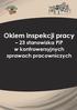 Okiem inspekcji pracy. 23 stanowiska PIP w kontrowersyjnych sprawach pracowniczych