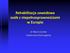Rehabilitacja zawodowa osób z niepełnosprawnościami w Europie. dr Marcin Garbat Uniwersytet Zielonogórski