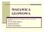 WSZAWICA GŁOWOWA. Na podstawie opracowania: lek. Magdalena Gudzińska ONE WSSE w Warszawie. OZ i PZ PSSE Wołomin Izabela Fedorczyk Renata Modzelewska