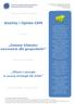 Analizy i Opinie CSM. Zmiany klimatu: wyzwania dla gospodarki. Klimat i energia w nowej strategii EU 2020. Program: Klimat i Energia.
