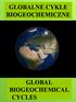 GLOBALNE CYKLE BIOGEOCHEMICZNE