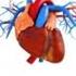 Ocena przerostu mięśnia lewej komory serca u pacjentów z pierwotnym nadciśnieniem tętniczym przy pomocy badania Kardio MR