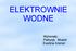 ELEKTROWNIE WODNE. Wykonały: Patrycja Musioł Ewelina Kriener