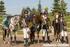 ZAWODY TOWARZYSKIE I REGIONALNE GOLDEN HORSE DRESSAGE CUP kwietnia 2016