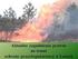 PRAWNE ASPEKTY OCHRONY PRZECIWPOŻAROWEJ LASÓW W POLSCE LEGAL ASPECTS OF FORESTS FIRE PROTECTION IN POLAND