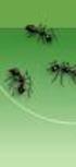 Algorytmy mrówkowe (ang. Ant Colony Optimization)