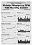 Biuletyn Miesi czny GPW WSE Monthly Bulletin