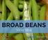 Healthiness of broad bean stem base depending on applied protection. Zdrowotność podstawy pędu bobu w zależności od zastosowanej ochrony