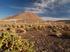 Chile- Pustynia Atacama