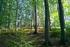 KONFERENCJA KATEDR JEDNOIMIENNYCH. Znaczenie użytkowania lasu w gospodarce leśnej XXI wieku. Abstrakty