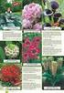 Różnorodność morfologiczna kwiatów Podlasia