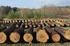 Wzór umowy na sprzedaż drewna z aukcji internetowych w aplikacji e-drewno na II półrocze 2012 rok. UMOWA SPRZEDAŻY NR...