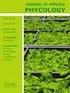 Algae preparations as a source of