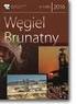 STAN OBECNY I STRATEGIA ROZWOJU BRANŻY WĘGLA BRUNATNEGO W I POŁOWIE XXI WIEKU W POLSCE. 1. Wprowadzenie