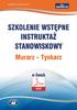 Szkolenie wstępne Instruktaż stanowiskowy MURARZ TYNKARZ. pod red. Bogdana Rączkowskiego