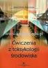 MODELOWANIE POŻARÓW. Ćwiczenia laboratoryjne. Ćwiczenie nr 1. Obliczenia analityczne parametrów pożaru