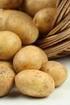 Zawartość witaminy C w bulwach ziemniaka w zależności od sposobu pielęgnacji