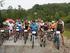 a. Popularyzacja kolarstwa górskiego i turystyki rowerowej w lasach Nadleśnictwa