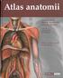 Atlas anatomii. Anne M. Gilroy Brian R. MacPherson Lawrence M. Ross. 7/ l ) \ t f * i ' i k r '»ii w l m l ( Markus Voll Karl Wesker.