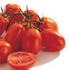 Odmiany pomidora dla profesjonalistów