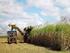 Ocena potencjału biomasy ubocznej z rolnictwa w UE