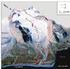 Surface runoff dynamics of the basins Scott, Blomli and Tjóm glaeier rivers in the summer 1986 (West Spitsbergen)