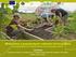 Młodzi rolnicy w gospodarstwach rodzinnych Unii Europejskiej Young farmers in family farms of the European Union
