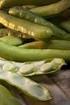 EFFECT OF INTENSITY OF BROAD BEAN PROTECTION WITH BIOPREPARATIONS AGAINST FUNGAL DISEASES