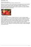 Akcja pomidor - krem! Dodany przez Kasia Łukasiewicz wtorek, 21 maja :48 - Poprawiony niedziela, 19 stycznia :22