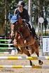 Regionalne Zawody Jeździeckie Majówka w Damaszce o Puchar Wójta Gminy Tczew