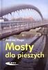 Mosty metalowe - opis przedmiotu