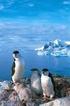 Antarktyda. Wyprawa do Krainy Lodu Propozycja wyjazdu