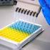 Biegłość laboratoriów mikrobiologicznych w oznaczaniu lekowrażliwości drobnoustrojów POLMICRO 2012