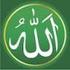 Poszukujcie Jedności Allaha poprzez Proroka(saw)