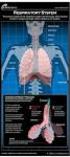 RESPIRATORY TOMMY MEDICAL